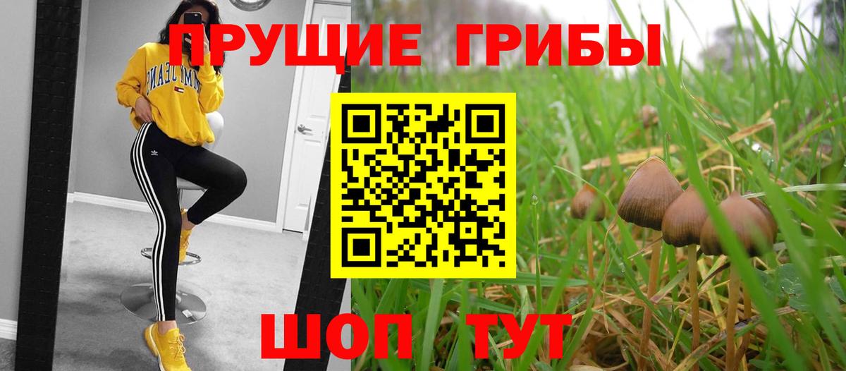 Псилоцибиновые грибы мухоморы  Вход с VPN  Кызыл 